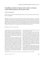 Báo cáo lâm nghiệp: 