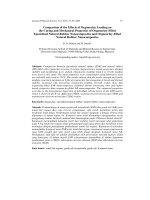 Báo cáo vật lý: 