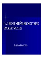 Bài giảng Các bệnh nhiễm rickettsiae (rickettsioses) part 1 pdf