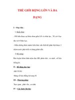 Giáo án Địa Lý 7 : Tên bài dạy : THẾ GIỚI RỘNG LỚN VÀ ĐA DẠNG docx