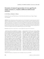 Báo cáo lâm nghiệp: 