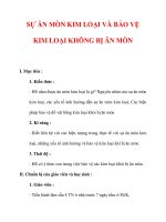 Giáo án Hóa học lớp 9 : Tên bài dạy : SỰ ĂN MÒN KIM LOẠI VÀ BẢO VỆ KIM LOẠI KHÔNG BỊ ĂN MÒN potx