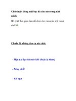 Chú chuột bông mùi bạc hà cho miu cưng nhà mình potx