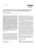 Báo cáo khoa học: 