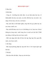 Giáo án Hóa Hoc 8: BÀI LUYỆN TẬP 7 pptx