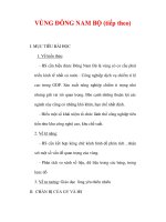 Giáo án Địa lý lớp 9 : Tên bài dạy : VÙNG ĐÔNG NAM BỘ (tiếp theo) potx