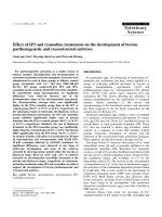 Báo cáo khoa học: 