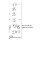 Thiết kế bài giảng tiếng anh 6 tập 2 part 2 pptx