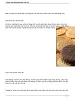 5 mẹo vặt hay giúp bà nội trợ ppt