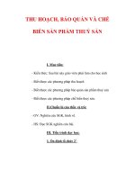Giáo án Công nghệ lớp 7 : Tên bài dạy : THU HOẠCH, BẢO QUẢN VÀ CHẾ BIẾN SẢN PHẨM THUỶ SẢN pdf