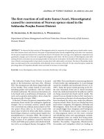 Báo cáo lâm nghiệp: 