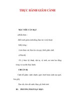 Giáo án Công nghệ lớp lớp 9 : Tên bài dạy : THỰC HÀNH GIÂM CÀNH docx