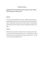 Bí quyết nấu cơm gà ppt