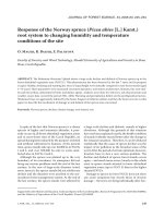 Báo cáo lâm nghiệp: 