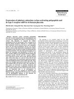 Báo cáo khoa học: 