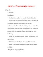 Giáo án Hóa học lớp 9 : Tên bài dạy : SILIC - CÔNG NGHIỆP SILICAT ppt