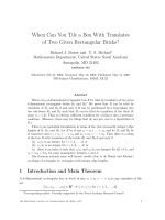 Báo cáo khoa học:When Can You Tile a Box With Translates of Two Given Rectangular Brick pot