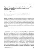 Báo cáo lâm nghiệp: 