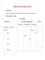 Giáo án Hóa học lớp 9 : Tên bài dạy : KIỂM TRA HỌC KỲ I doc