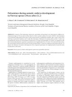 Báo cáo lâm nghiệp: 