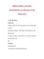 Giáo án Lịch sử lớp 7 : Tên bài dạy : KHỞI NGHĨA LAM SƠN TOÀNTHẮNG (CUỐI 1426, CUỐI NĂM 1427) ppsx
