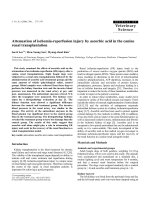 Báo cáo khoa học: 