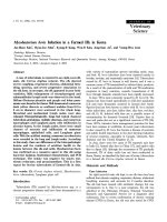 Báo cáo khoa học: 