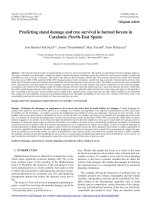 Báo cáo lâm nghiệp: 