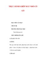 Giáo án Công nghệ lớp lớp 9 : Tên bài dạy : THỰC HÀNH GHÉP MẮT NHỎ CÓ GỔ ppt