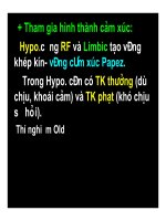 Bài giảng chức năng điều tiết vận động của hệ thần kinh trung ương part 6 docx