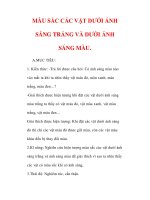 Giáo án Vật lý lớp 9 : Tên bài dạy : MÀU SẮC CÁC VẬT DƯỚI ÁNH SÁNG TRẮNG VÀ DƯỚI ÁNH SÁNG MÀU. doc