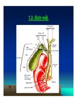 Bài giảng tiêu hóa ở dạ dày part 5 pptx