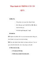 Giáo án Công nghệ lớp lớp 9 : Tên bài dạy : Thực hành (tt) TRỒNG CÂY ĂN QUẢ ppt