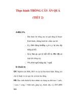 Giáo án Công nghệ lớp 9 : Tên bài dạy : Thực hành TRỒNG CÂY ĂN QUẢ (TIẾT 2) pptx