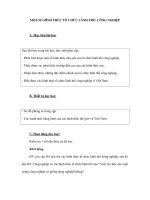 MỘT SỐ HÌNH THÚC TỔ CHỨC LÃNH THỔ CÔNG NGHIỆP docx