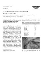 Báo cáo khoa học: 