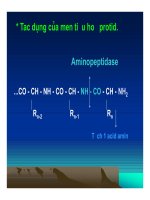 Bài giảng tiêu hóa ở dạ dày part 7 ppt