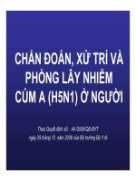 Bài giảng CHẨN ĐOÁN, XỬ TRÍ VÀ PHÒNG LÂY NHIỄM CÚM A (H5N1) Ở NGƯỜI part 1 potx