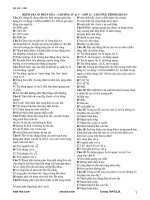 KIỂM TRA 45 PHÚT SỐ 2 pot