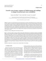 Báo cáo lâm nghiệp: 