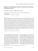 Báo cáo lâm nghiệp: 