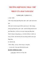 Giáo án môn Toán lớp 7 : Tên bài dạy : TRƯỜNG HỢP BẰNG NHAU THỨ NHẤT CỦA HAI TAM GIÁC pot