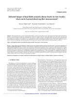 Báo cáo lâm nghiệp: 