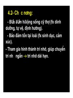 Bài giảng chức năng điều tiết vận động của hệ thần kinh trung ương part 7 doc