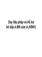 Bài giảng điều trị Cúm A : HỖ TRỢ HÔ HẤP Ở BỆNH NHÂN CÚM A (H5N1) part 2 docx