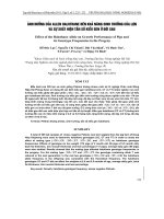 Báo cáo nông nghiệp: 