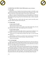 Giáo trình phân tích nguyên lý cấu tạo lớp biểu mô của vách ruột p4 pdf