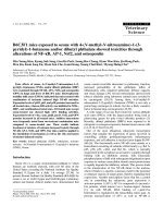 Báo cáo khoa học: 