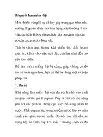 Bí quyết làm mềm thịt ppt