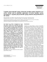 Báo cáo khoa học: 